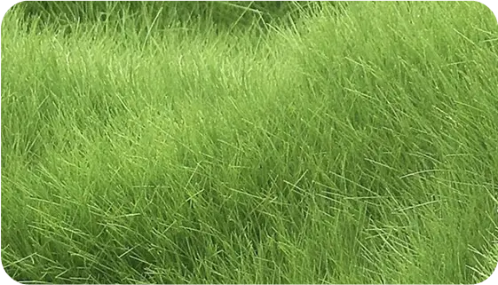 remote_img